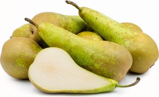 Pear 'Conference' fruit, long-necked green pears with russeted brown patches, piled together with one halved to show pale cream flesh.