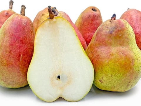 Pear 'Doyenné du Comice/Conference'