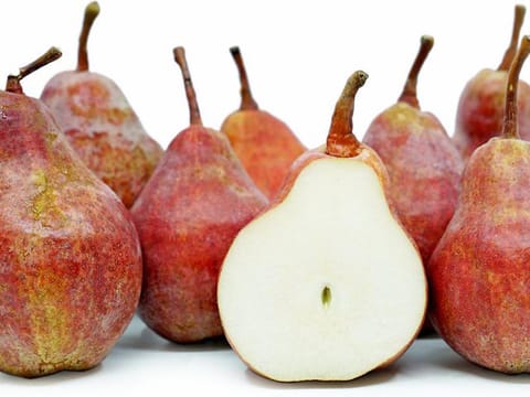 Pear 'Red Bartlett/Conference'