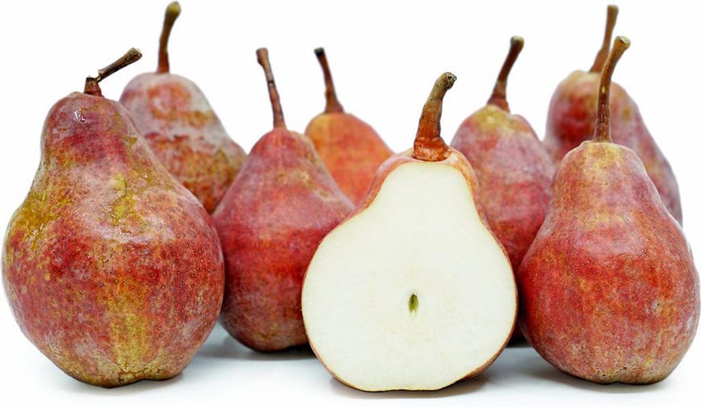 Pear 'Red Bartlett/Conference' fruit: several red-flushed pears with yellow-green patches and brown stems, one halved to show creamy white flesh.