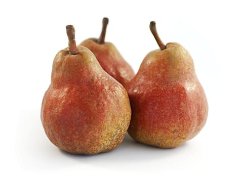 Pear 'Red Bartlett'