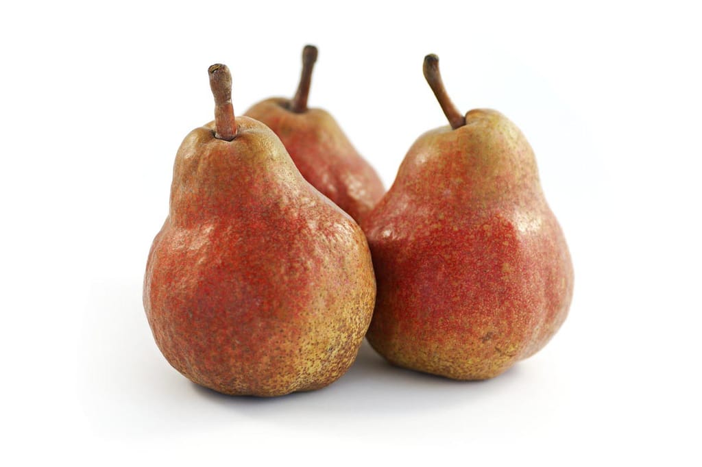 Three ripe Pear 'Red Bartlett' (Pyrus communis) fruit with red-flushed, russet-speckled skin and short brown stalks, grouped against a white background.