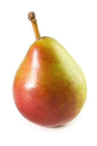 Pear 'Seckel' fruit with glossy skin blending red and green, a short woody stem on top, shown against a plain white background.
