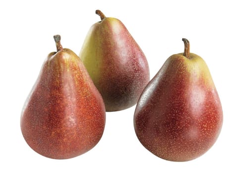 Pear 'Seckel'