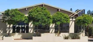 Robinia pseudoacacia 'Umbraculifera' (Black Locust), a row of small trees with dense, rounded green crowns on slim trunks in front of a cream building.