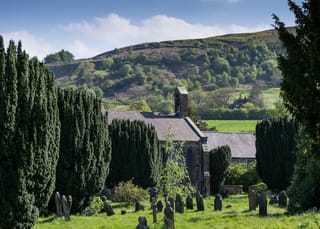 Taxus baccata 'Fastigiata' (Irish Yew), dark green columnar evergreens beside a stone church and gravestones, with a wooded hill behind.