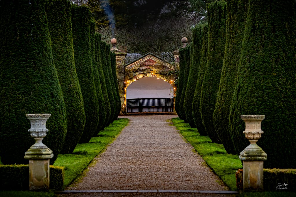 Taxus baccata 'Fastigiata' (Irish Yew), tall dark green columnar trees lining a gravel path, with stone urns and a lit brick archway ahead.