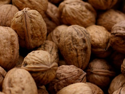 Walnut 'Shannon'