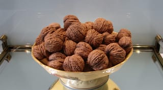 Juglans regia 'Wilson's Wonder' English walnut, a pile of whole brown wrinkled nuts in their shells heaped in a cream and gold pedestal bowl on a glass shelf.