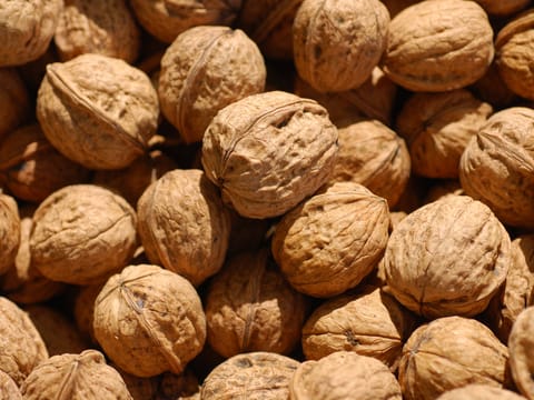 Walnut 'Wilson's Wonder'