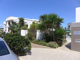 Yucca gigantea (Giant Yucca) with tall trunks and sword-shaped leaf rosettes, planted in a landscaped garden beside white apartment buildings under blue sky.