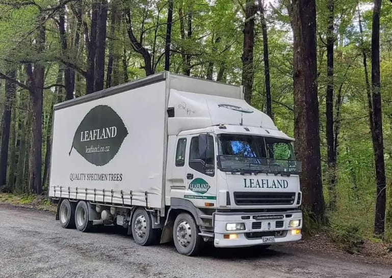 Leafland truck on a gravel road surrounded by tall trees. The truck, from the tree nursery, is white with a large leaf logo and "QUALITY SPECIMEN TREES" printed on the side. Leafland.co.nz is also visible.