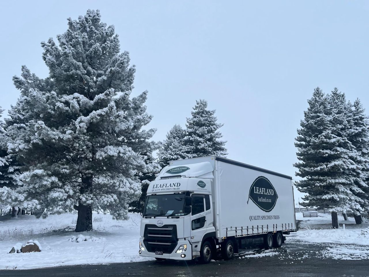 A Leafland truck parked among snow-covered pines in the South Island.