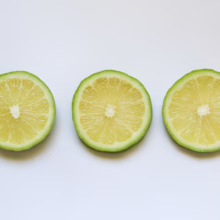 Three slices of a fresh Citrus lime 'Bearss' showing the green rind and juicy yellow flesh.