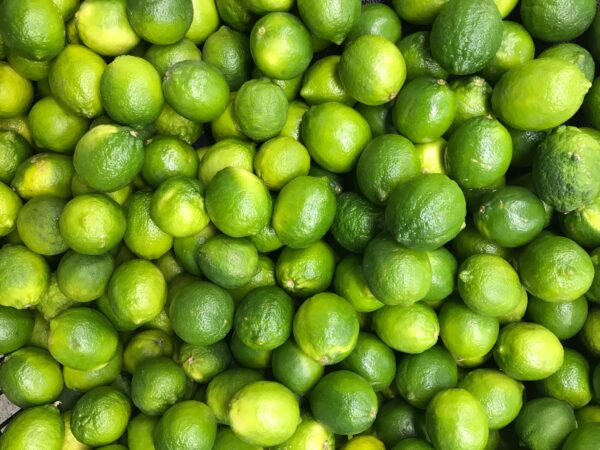 <i>Citrus</i> x <i>latifolia</i> 'Bearss' - Image 3