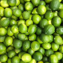 Pile of fresh green Citrus 'Bearss' limes. Vibrant color and smooth skin, perfect for cocktails or cooking