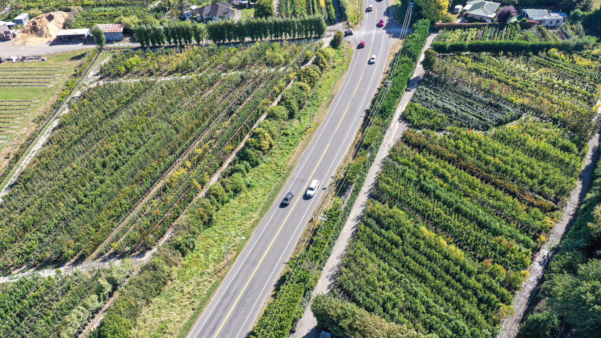 Aerial view of Leafland Nursery, showcasing rows of vibrant green plants on either side of a road with cars. Lush greenery and trees surround the nursery.