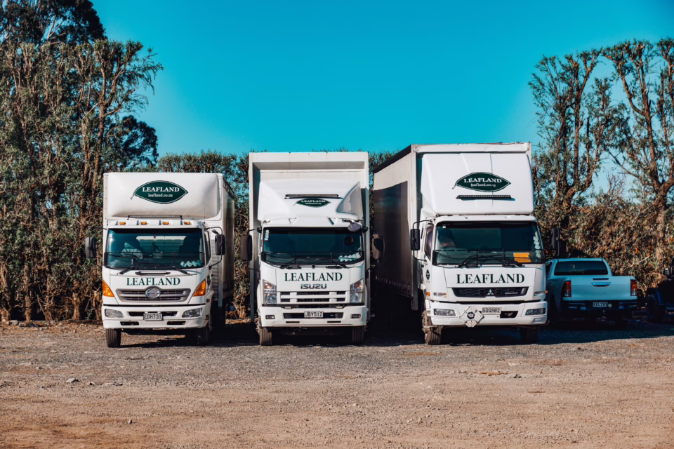 Three Leafland trucks parked in a lot under a clear blue sky. The white Isuzu trucks feature the Leafland logo. A pickup truck is parked behind them near trees and bushes.