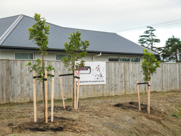 Newly planted Trees by Flourishing Landscapes