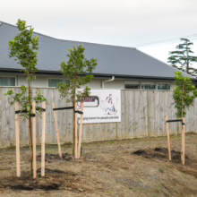 Newly planted trees, supported by wooden stakes, stand in front of a modern house with a gray roof and a wooden fence. A sign reads "Bringing home the people you love," relevant to a tree planting guide.