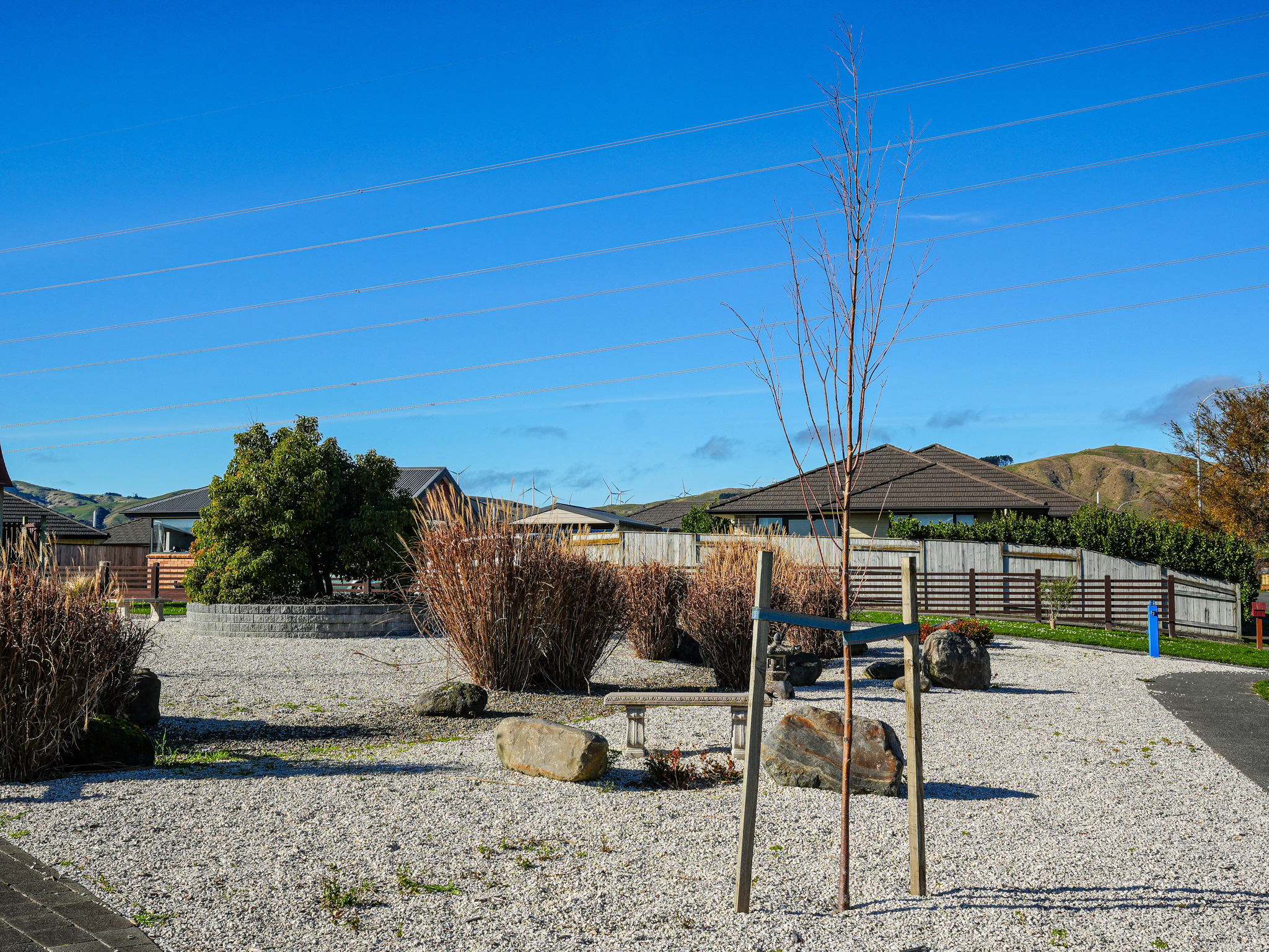 Gravel garden with young tree in supports, ornamental grasses, and large rocks under a bright blue summer sky. Houses and rolling hills form the backdrop.