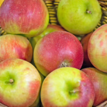 Basket of Apple 'Waltz' variety, featuring a mix of red and green hues, perfect for snacking or baking