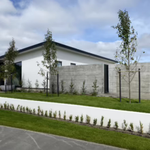 Modern home featuring Pyrus calleryana 'Slim Jim' trees in the front yard. The landscape includes a white retaining wall, concrete wall, and lush green lawn.