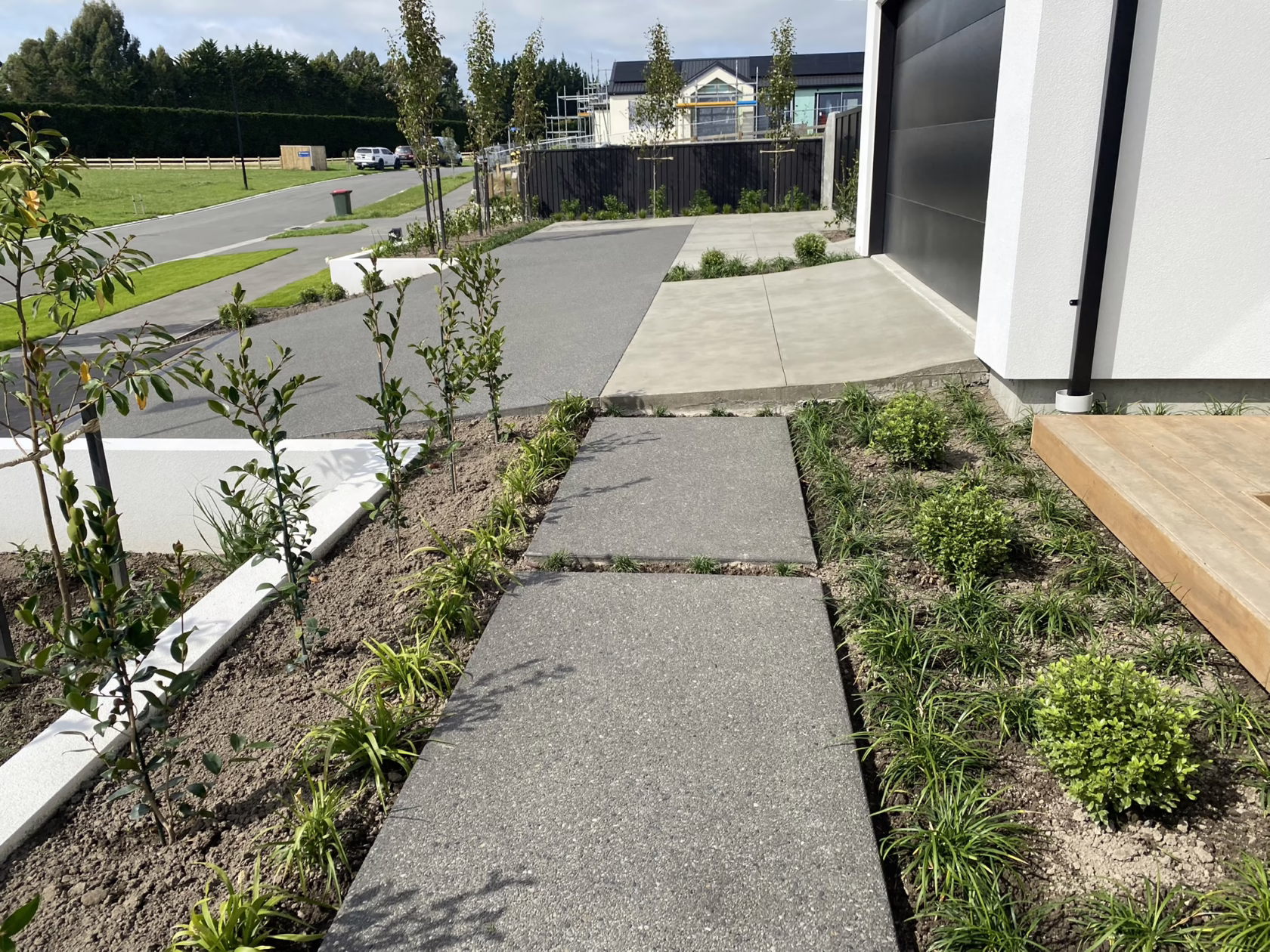 A modern landscape design featuring Pyrus calleryana ‘Slim Jim’ trees lining a driveway. Concrete pavers lead to a house with a black garage door and white exterior. Lush greenery and manicured beds add to the curb appeal.