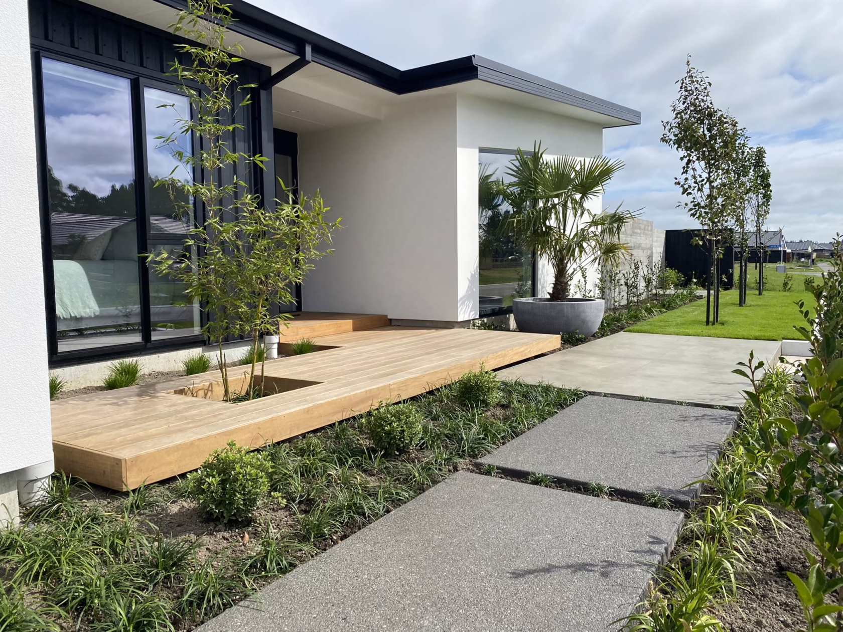 Modern home entrance featuring Pyrus calleryana 'Slim Jim' trees lining the lawn. Concrete pavers lead to a wooden deck with minimalist landscaping, showcasing clean lines and contemporary design.