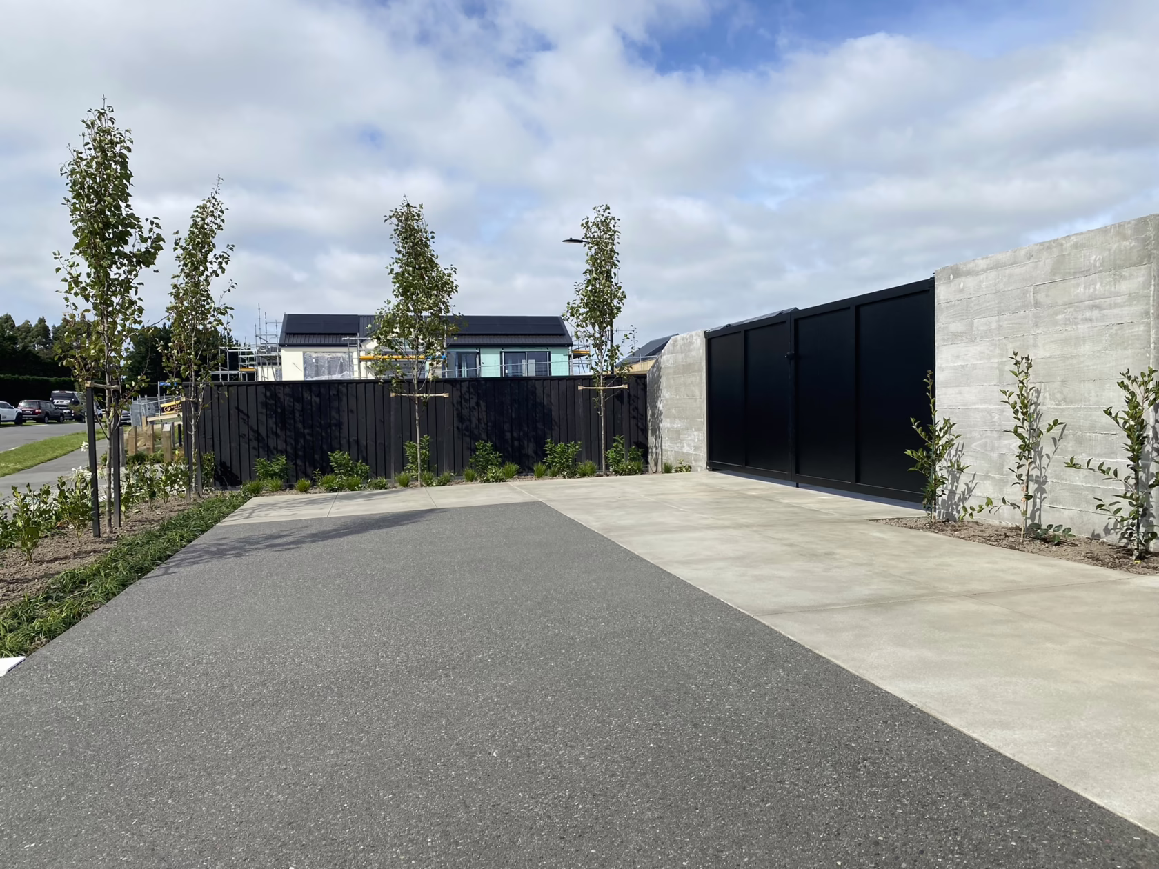 Driveway featuring Pyrus calleryana 'Slim Jim' trees along a black fence. A modern house is visible in the background, under a partly cloudy sky. Landscape design by Epic Landscape Design.