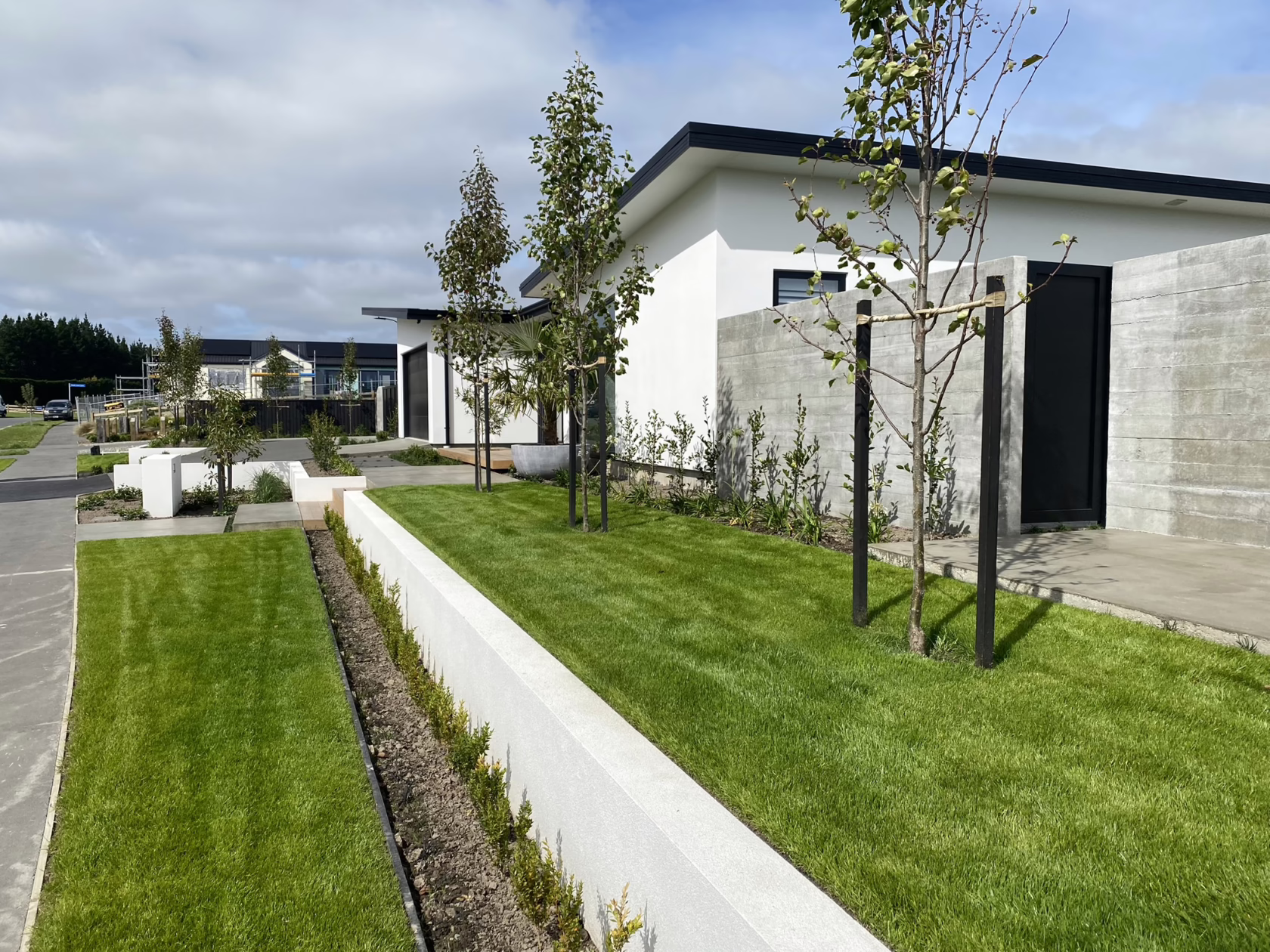 Modern landscape design featuring Pyrus calleryana 'Slim Jim' trees lining a lush green lawn with a low white retaining wall. The trees add vertical interest to the clean lines of the contemporary white homes.
