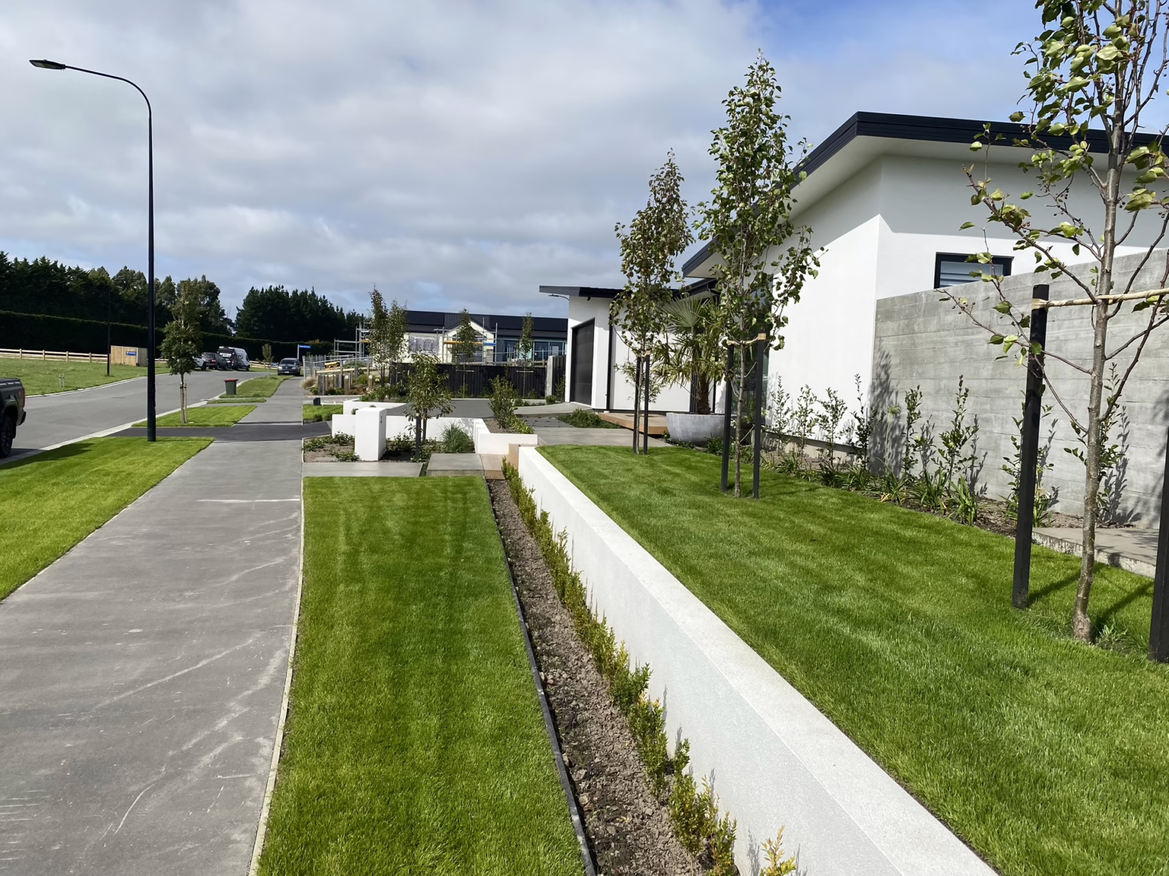 Modern homes feature Pyrus calleryana 'Slim Jim' trees along a manicured street. White retaining walls and lush green lawns enhance the landscape design.