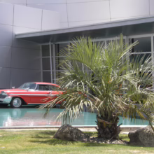 Classic red 1957 Cadillac Eldorado parked in a shallow pool of water in front of a modern building with glass walls, framed by a small palm tree in the foreground. A second red car is visible through the glass.