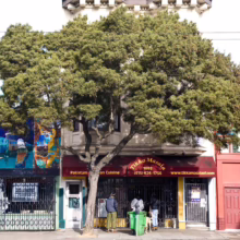 Tikka Masala restaurant in San Francisco, framed by a large tree. The restaurant's red awning reads "Tikka Masala, Pakistani Cuisine." Patrons gather outside, adding to the vibrant street scene.