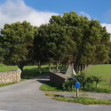 Rural driveway entrance framed by stone walls and lush green trees under a bright blue sky with scattered clouds. A yellow line marks the edge of the road in the foreground.