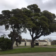 Lush green trees frame a low, tan-colored building under a cloudy sky. The landscape features a manicured lawn and paved areas, creating a serene outdoor scene.