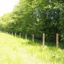 Sunlit meadow with a newly constructed wooden post fence line stretching into the distance, bordering a lush green tree line.