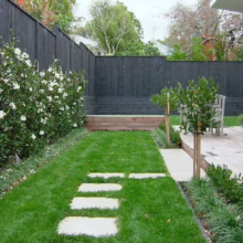 Lush modern garden with a dark wood fence backdrop, white flowering shrubs, and a stepping stone path through green grass leading to a deck.