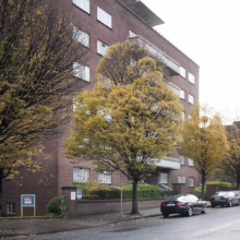 Autumn in Dublin: Brick apartment building framed by trees with golden leaves. Cars parked on the wet street add to the urban scene.