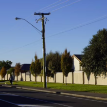 Suburban street scene featuring a woman walking her dog along a sidewalk bordered by a long, light-colored fence and evenly spaced trees. Power lines stretch overhead against a clear blue sky.