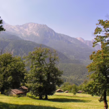 Scenic mountain landscape with lush green meadows dotted with rustic stone barns and towering trees under a clear blue sky. Mountain peaks form a dramatic backdrop.
