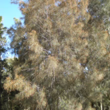 A neat stack of fall sweaters in warm autumn colors – orange, red, and cream – sits on a rustic wooden shelf, showcasing cozy sweater styles.