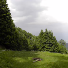 Lush green meadow framed by towering evergreen trees under a cloudy sky. A small, dark fire pit sits in the foreground, with a log beside it, suggesting a tranquil mountain escape.