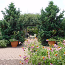 Garden path leading through a wooden archway, flanked by cone flowers, potted evergreens, and lush greenery. A peaceful, inviting scene.