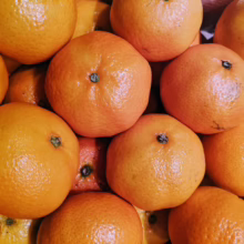 A vibrant pile of fresh, ripe tangerines. The citrus fruits are a bright orange color with a smooth, glossy skin, perfect for a healthy snack.