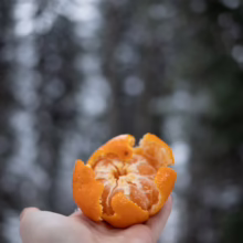Hand holding a peeled clementine in a snowy forest. The bright orange citrus fruit contrasts with the blurred, wintry background.