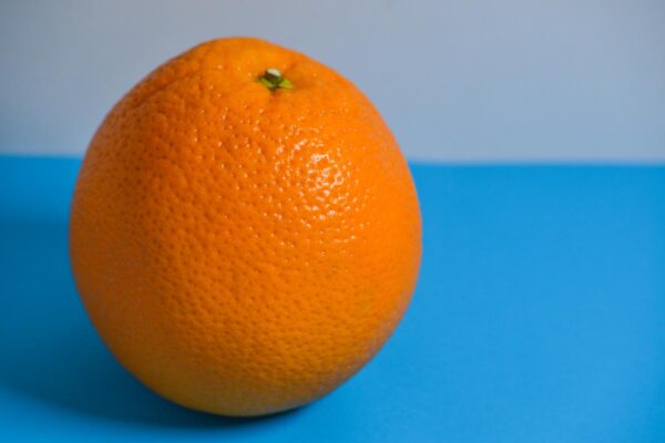 <i>Citrus</i> x <i>sinensis</i> 'Best's Seedless' - Image 2