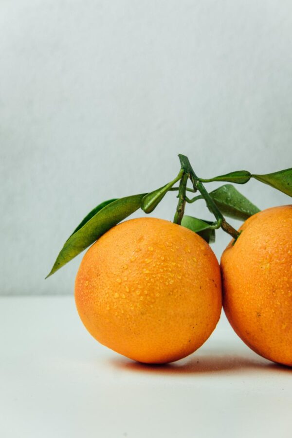 <i>Citrus</i> x <i>sinensis</i> 'Valencia' - Image 4