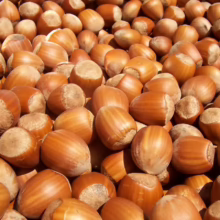Pile of freshly harvested hazelnuts in their shells. The nuts are light brown with darker brown stripes, creating a warm, autumnal feel.