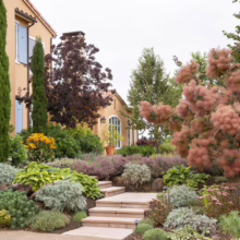 Lush garden with stone steps leading to a yellow stucco house. Features include colorful plants, a smoke tree, Italian cypress, and blue shutters. A serene and inviting landscape design.